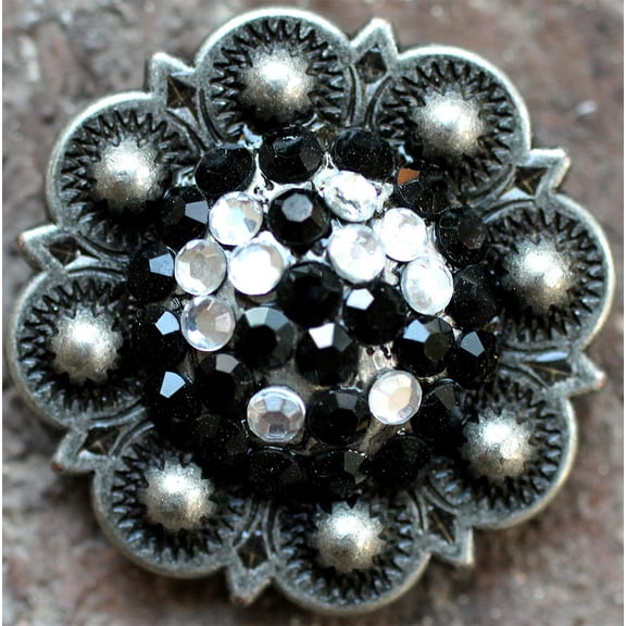 4 Conchos Rhinestone Horse Saddle Western Berry CO154