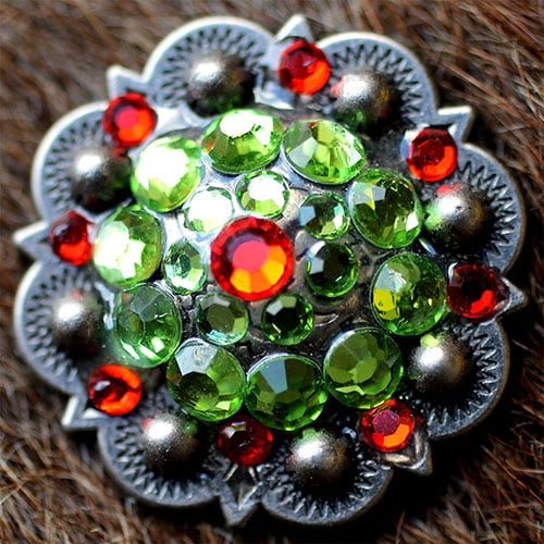 4 Conchos Rhinestone Horse Saddle Western Berry CO18