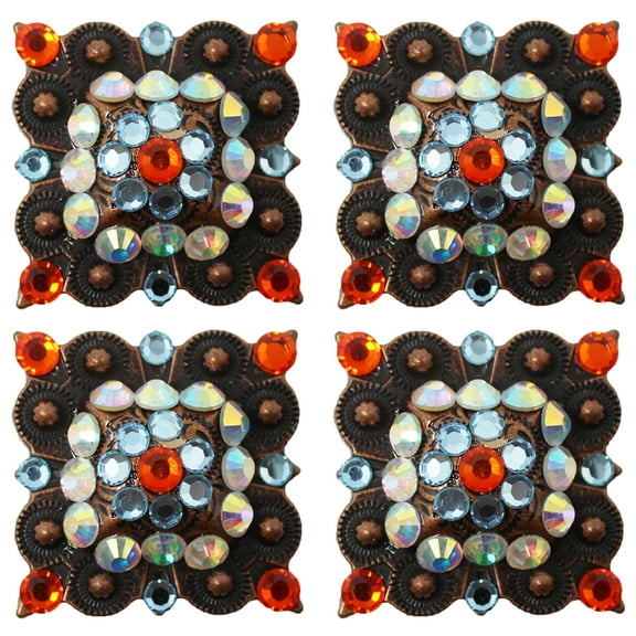 4 Conchos Rhinestone Horse Saddle Western Berry CO78