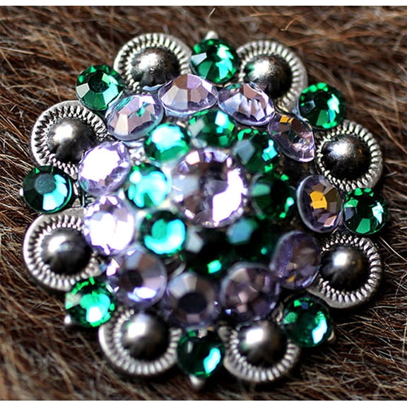 4 Conchos Rhinestone Horse Saddle Western Berry Green & Purple CO17