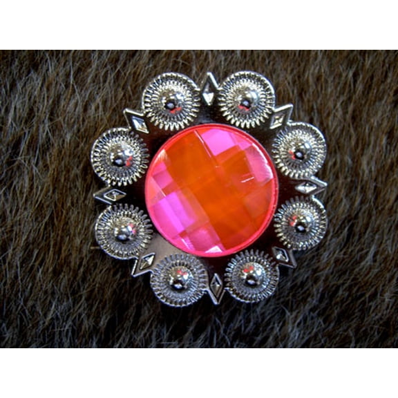 4 Conchos Rhinestone Horse Saddle Western Berry Pink CO102