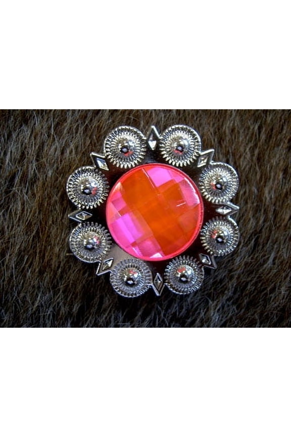 4 Conchos Rhinestone Horse Saddle Western Berry Pink CO102