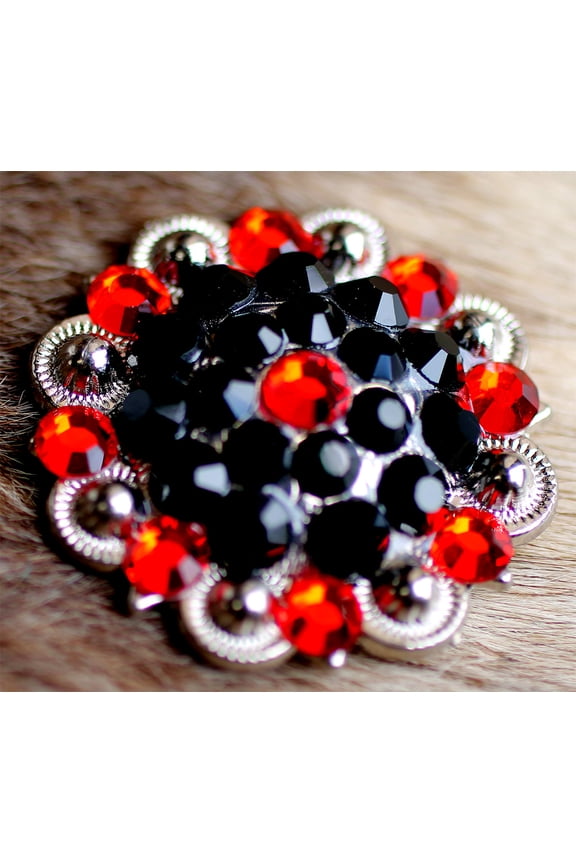 4 Conchos Rhinestone Horse Saddle Western Bridle Berry Co376