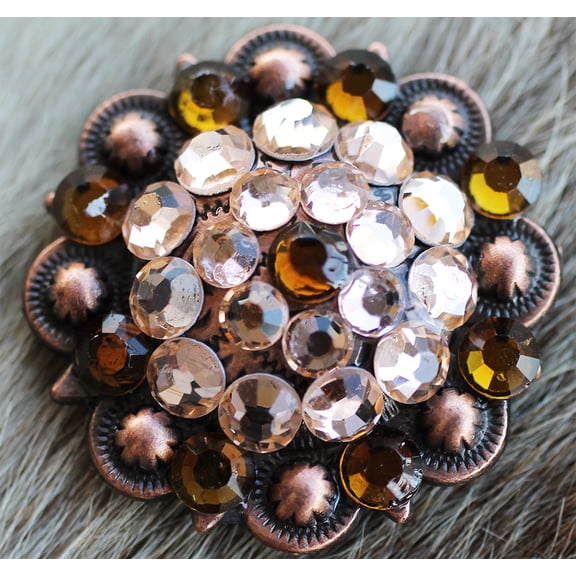4 Conchos Rhinestone Horse Saddle Western Bridle Headstall Screw Back CO436