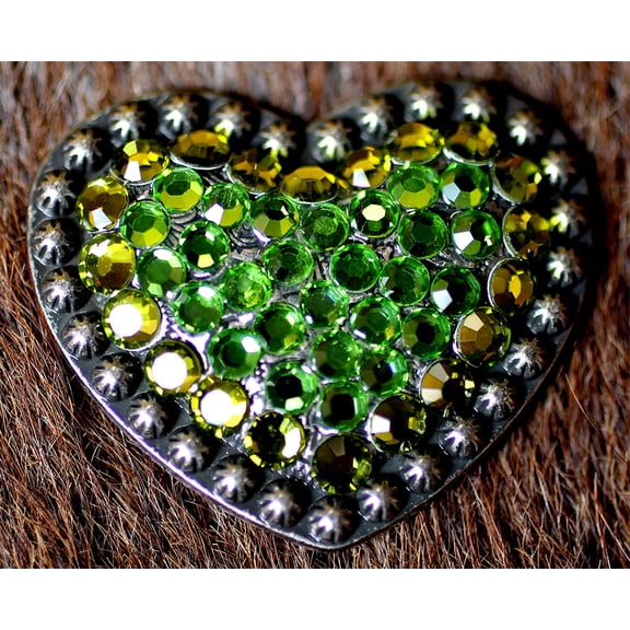 4 Conchos Rhinestone Horse Saddle Western Heart CO25