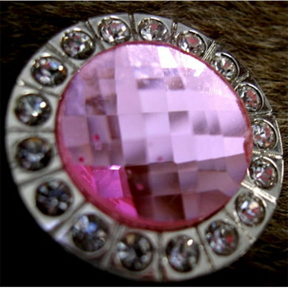 4 Conchos Rhinestone Horse Saddle Western Pink CO112
