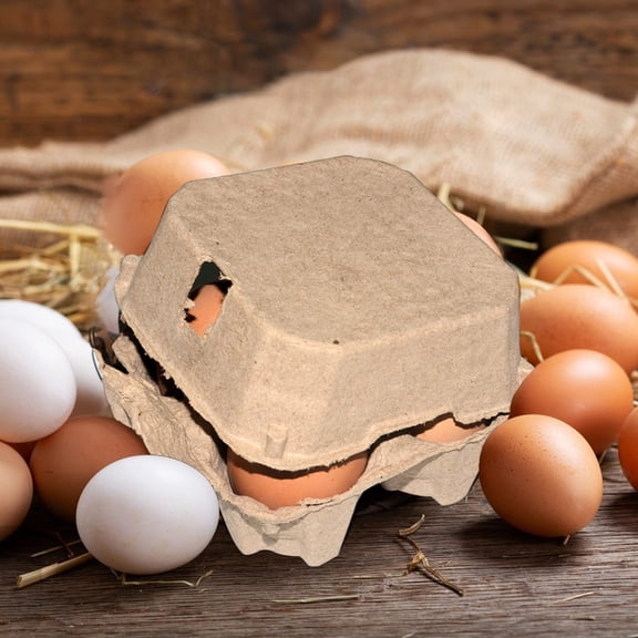 4-Count Pulp Paper Egg Carton With Locking Lid, Biodegradable Recyclable Egg Storage Holder,For Farm Fresh Chicken Duck Eggs Fridge Market