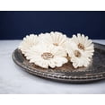 thumbnail image 1 of 4" Daisy May (10 Pack), 1 of 5