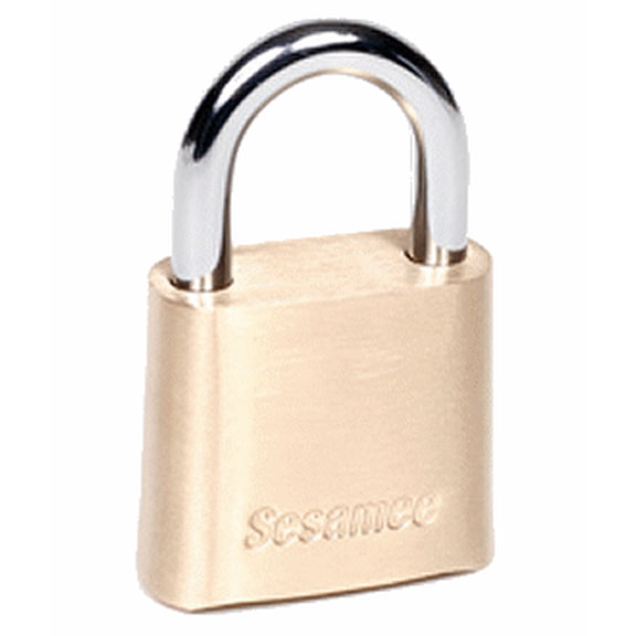 4-Dial Resettable Padlock