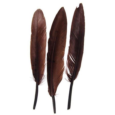 4" Duck Quill - 24 Pack - Brown