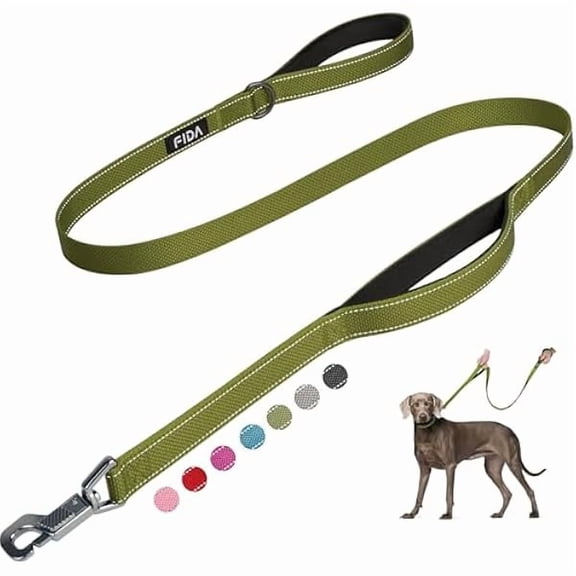 4 FT Heavy Duty Dog Leash with 2 Comfortable Padded Handles, Traffic Handle & Advanced Easy Snap Hook, Reflective Walking Lead for Large, Medium & Small Breed Dogs, Green