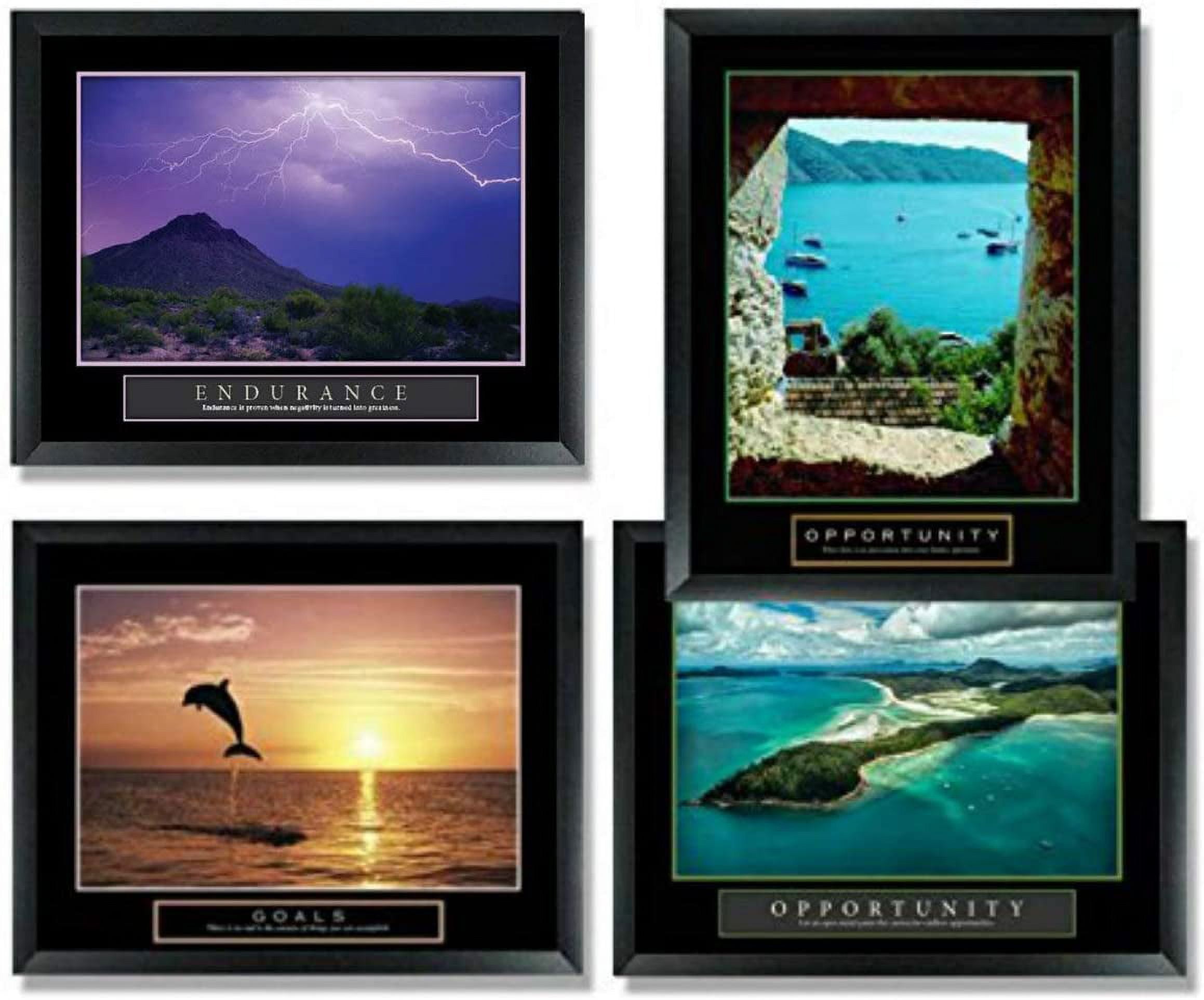 Framed Motivational Posters