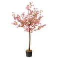 thumbnail image 1 of 4 Ft. Cherry Blossom Tree, 1 of 4
