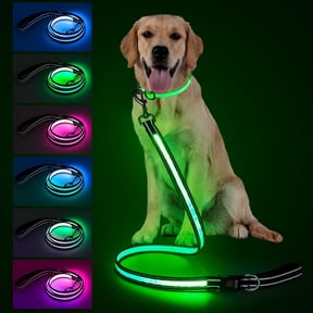 4 Ft LED Dog Leash, Light Up & Lighted Dog Leash, 7 Lighting Modes, Glow in The Dark, Reflective, Double-Sided Light, Rechargeable with Padded Handle for Night Walking Safety, Small to Large Pets
