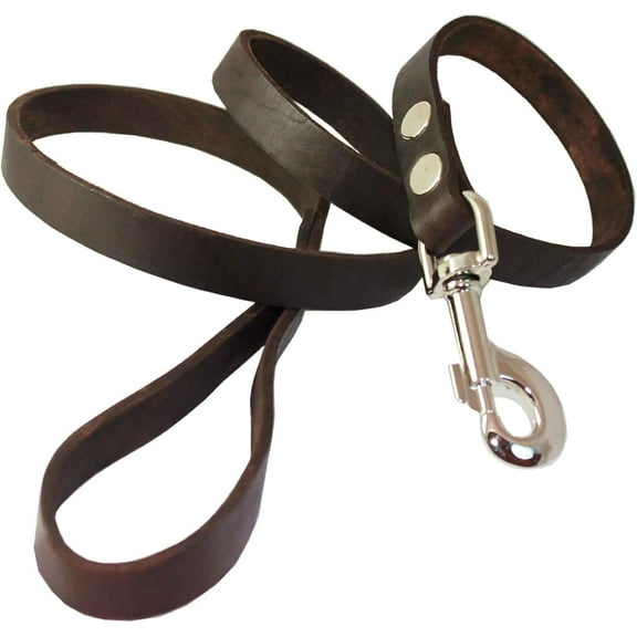 4' Genuine Leather Classic Dog Leash Brown 3/4" Wide for Large Dogs