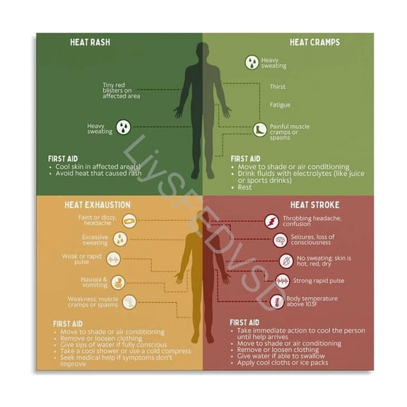 4 Heat-Related Illnesses Infographic Poster Stroke Safety Guide Canvas Painting Wall Art