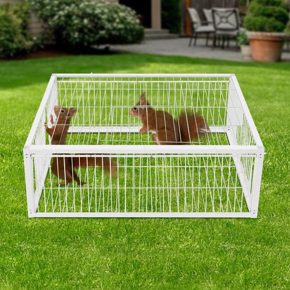 4 Holes Iron Pigeon Cage Quail Feeder Pigeon Dove Bird Outside of Cage for About 15 Pigeons 60*40*26cm