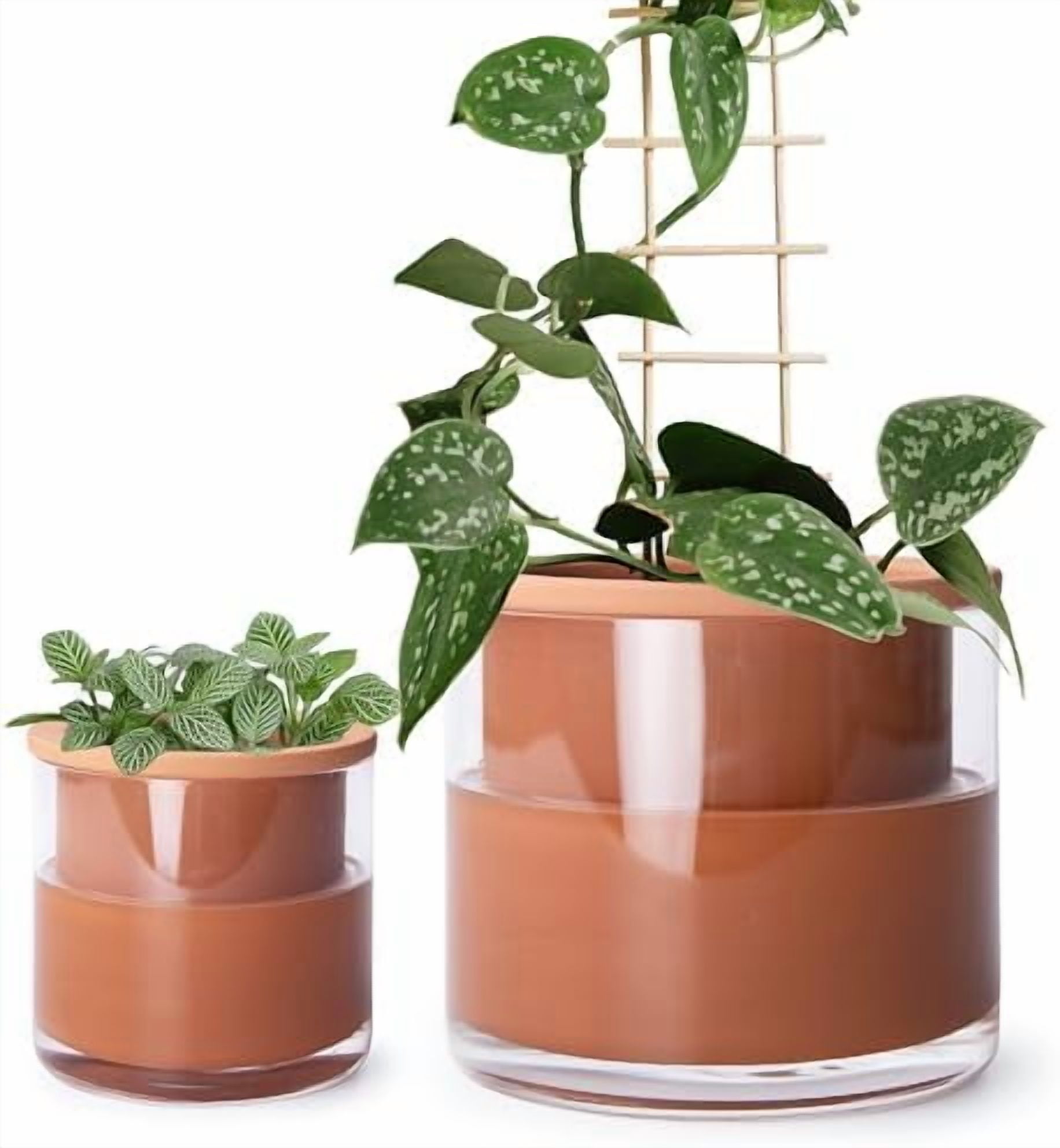 4 Inch 6 Inch Self Watering Plants Pots, Design Terracotta Pots for Plants, Indoor Cylinder Terra Cotta Planter with Glass Vase Set, 51-A-G-46