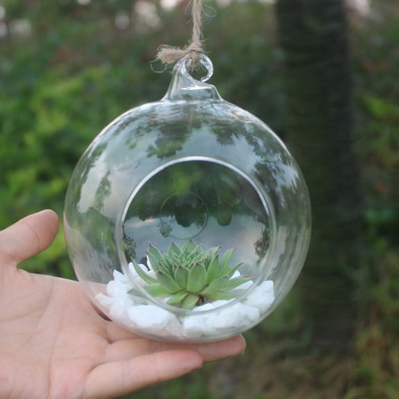 4 Inch Clear Glass Hanging Planter Terrarium Flower Vase Container for Hydroponic Plants Succulents Moss Indoor Gardening and Wedding Home Decor