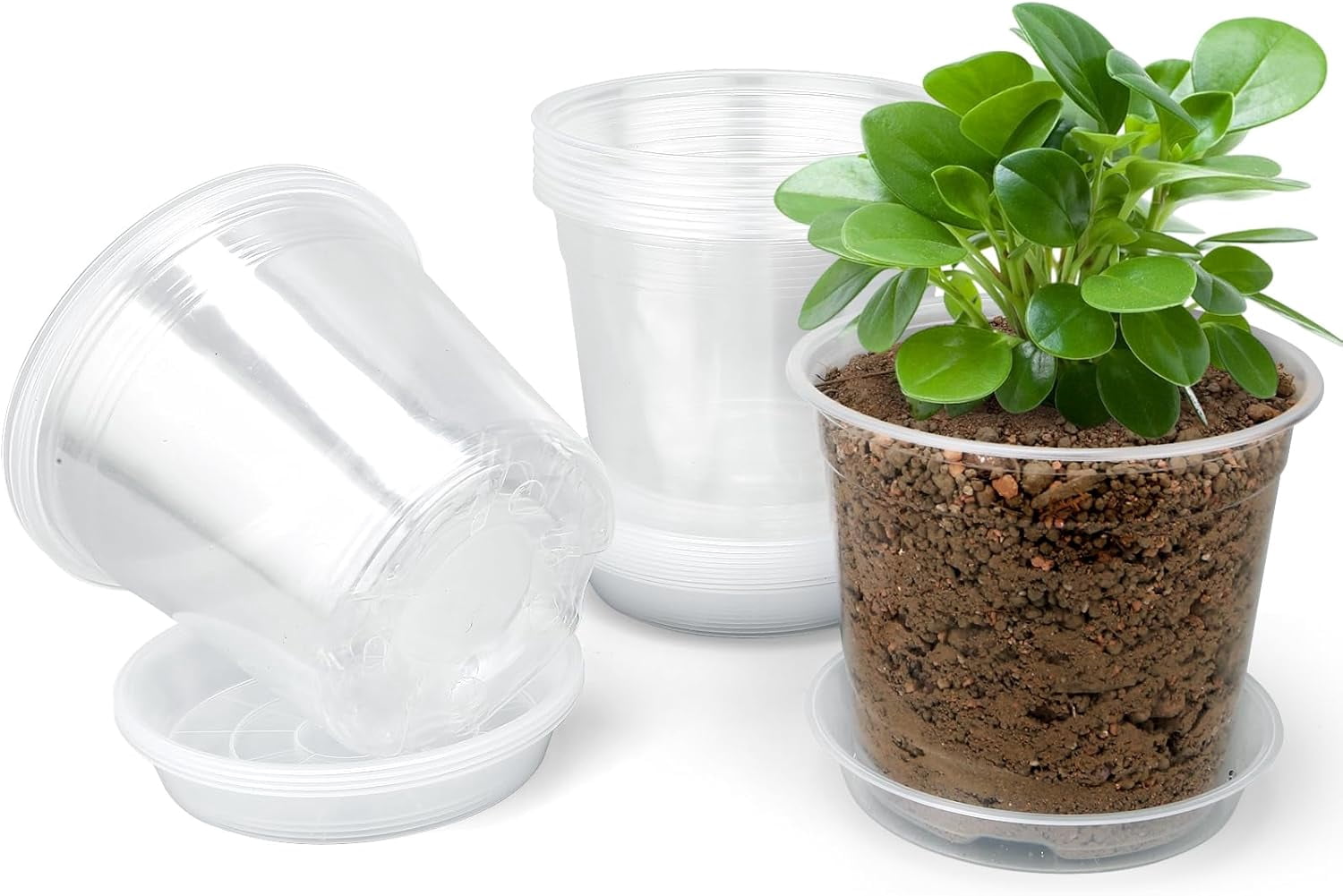4 Inch Clear Nursery Pots with Drainage Trays, 15 Pack Plastic Pots for ...