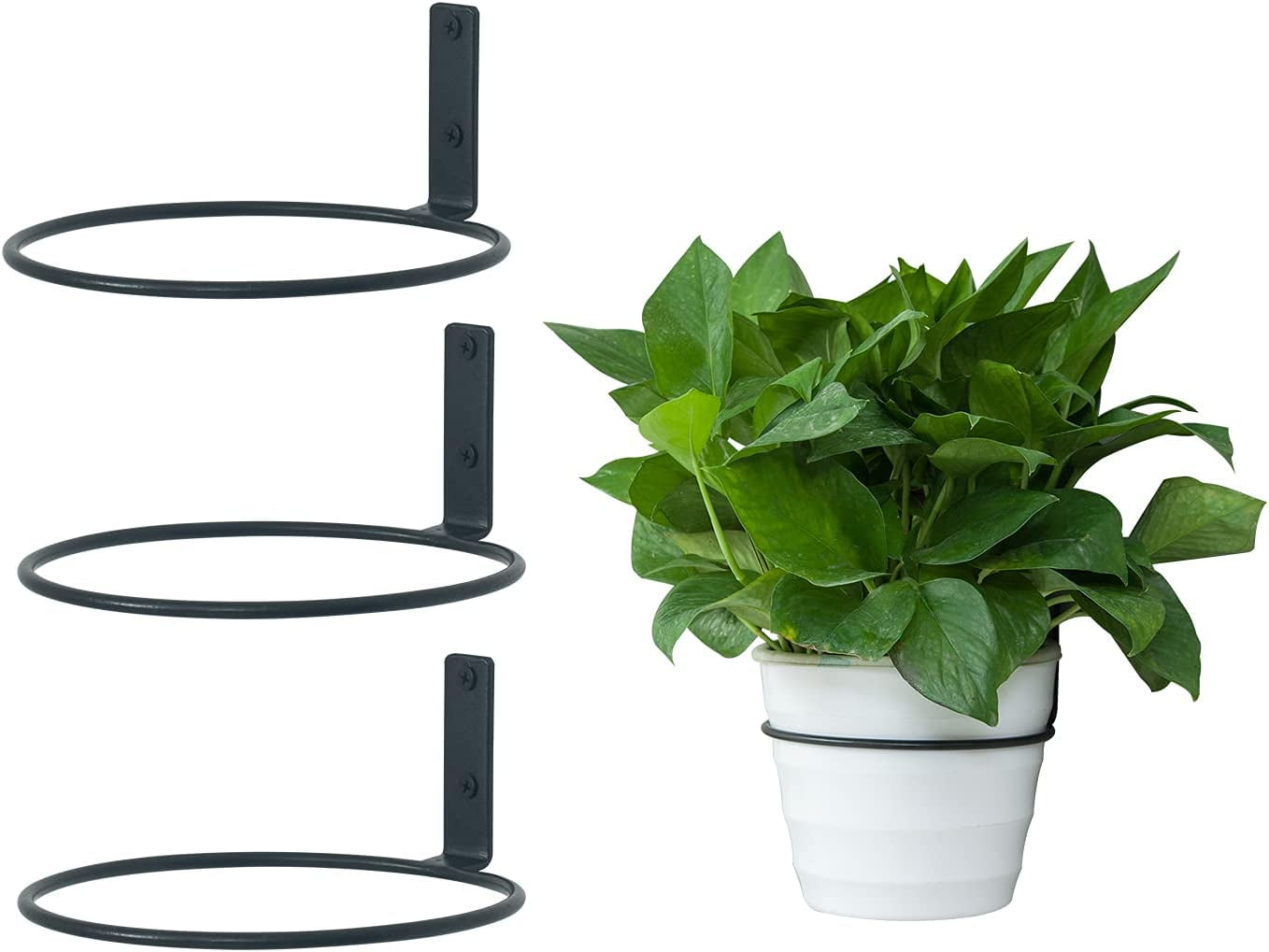 4 Inch Flower Pot Holder Ring,Topboutique Wall Mounted Flower Pot Rack