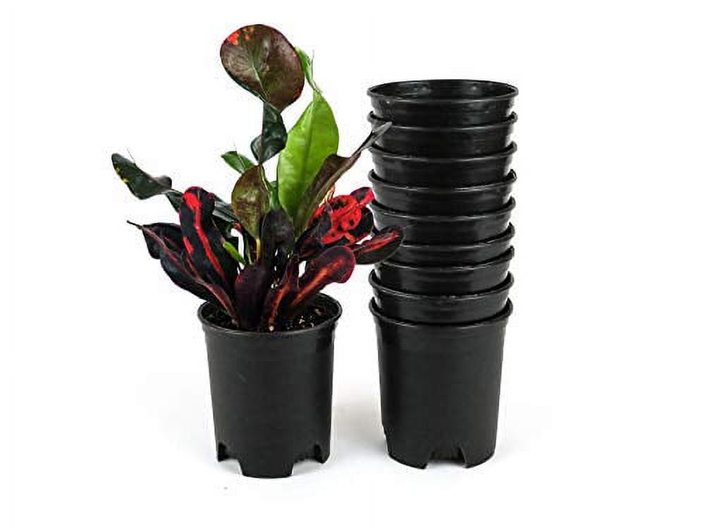 4 Inch Nursery Pot Plastic Planters for Outdoor Indoor Plants Gardening ...