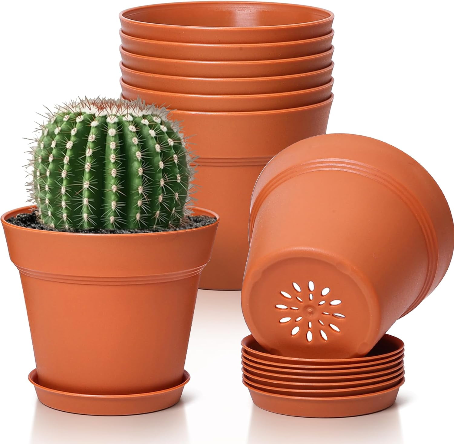 Plant Pots Small Flower Pots with Drainage Hole and Saucer, Decorative ...