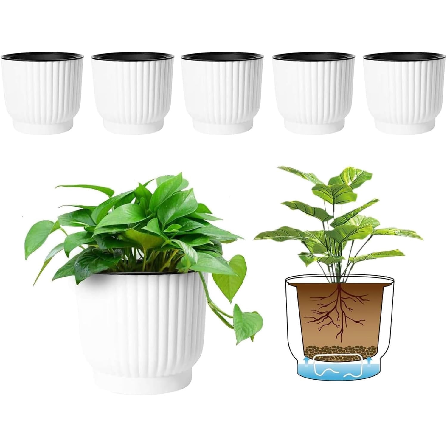 4 Inch Self Watering Plant Pots 6 Pack Small Indoor Planters for African Violets Succulents Durable White Plastic Gardening Containers