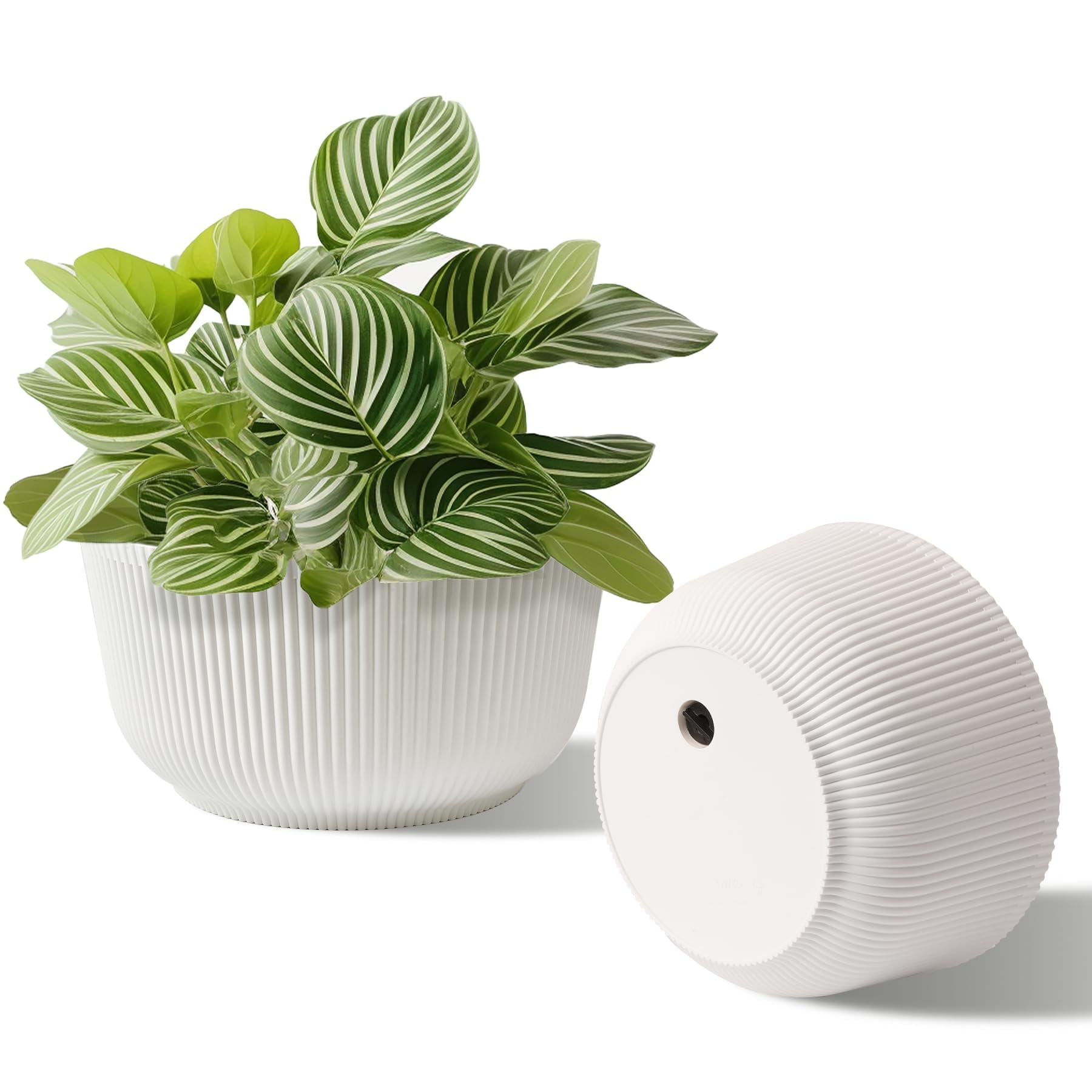 4 Inch Self Watering Plant Pots 6 Pack Small Indoor Planters for African Violets Succulents Durable White Plastic Gardening Containers