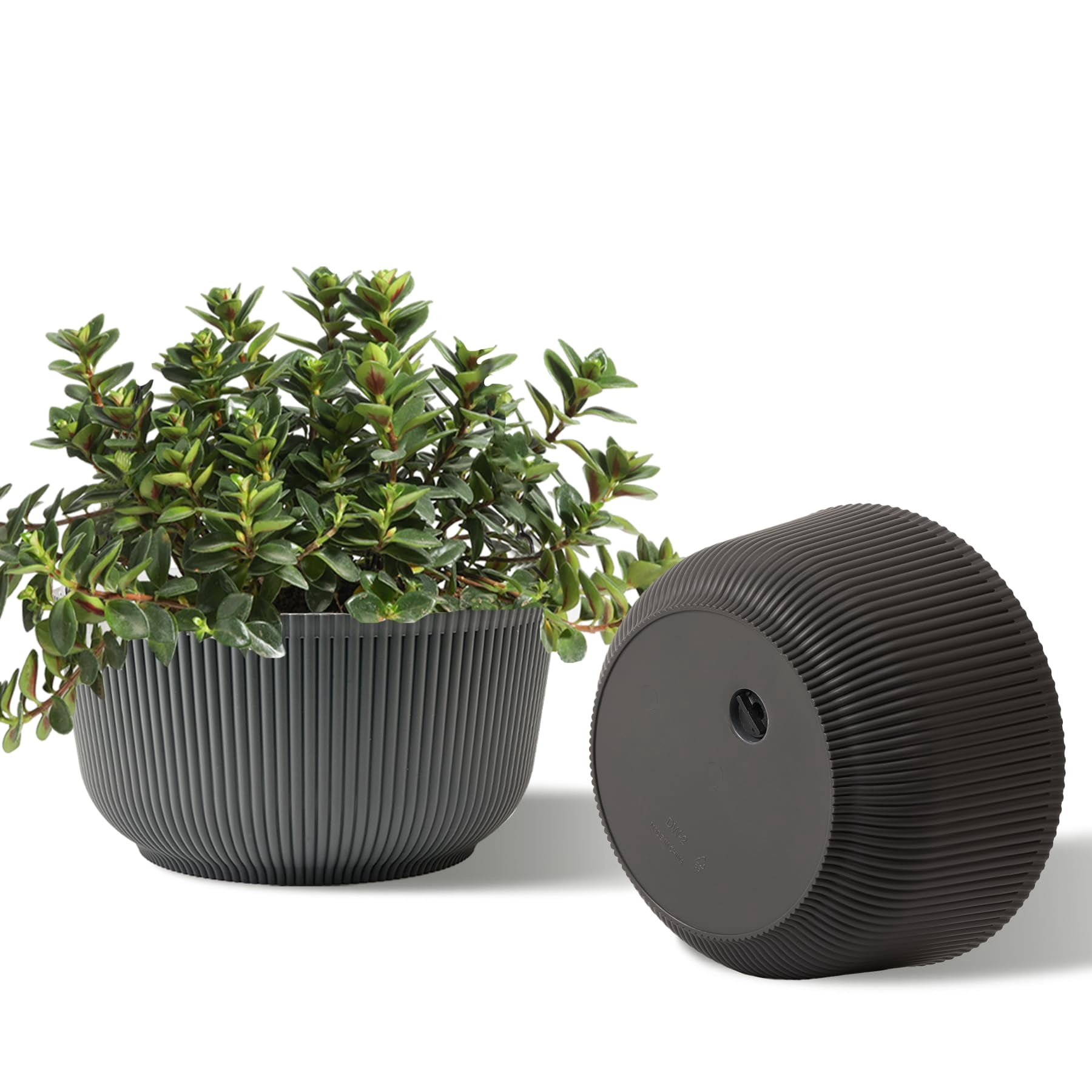 4 Inch Self Watering Plant Pots 6 Pack Small Indoor Planters for African Violets Succulents Durable White Plastic Gardening Containers