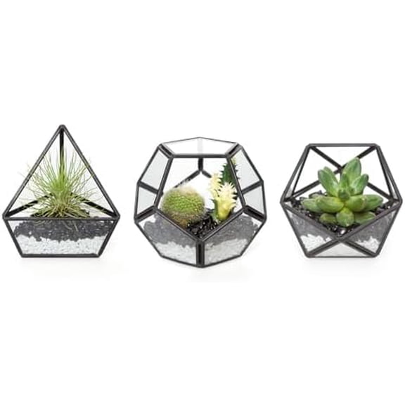 4 Inches Mini Glass Geometric Terrarium Container Set of 3 Modern Tabletop Planter Shelves Decor Display Centerpiece for Succulent Miniature Fairy Garden Air Plant, Black(Plant Not Included)