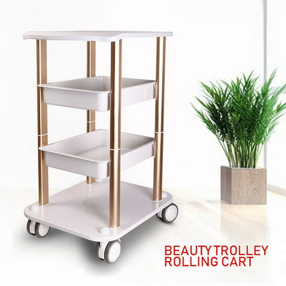 4-Layer Beauty Salon SPA Equipment Machine Organizer Rolling Trolley Cart Stand