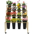 thumbnail image 1 of 4 Layers Metal Flower Cart Display Rack with Wheels, Rolling Flower Display Stand with 16 Buckets, Heavy Duty Moving Plant Cart Shelf, for Florist, Garden, Patio (Gold Stand - Black Square Bucket), 1 of 9