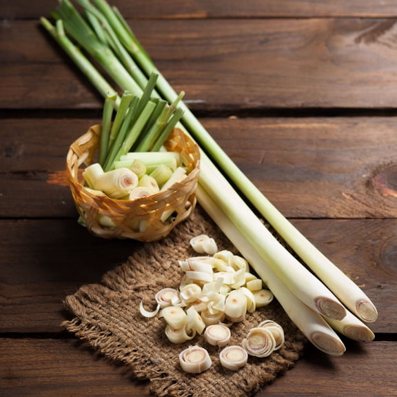 4" Lemon Grass Live Perennial with Full Sunlight (3-Pack)