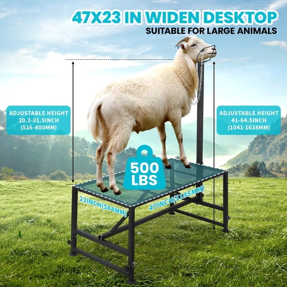 4 Level Adjustable Livestock Stand, Anti-Rust Iron Goat Holding Table, Detachable Chain Head Gate with Triangle Support Bracket for Barn Goat Milking