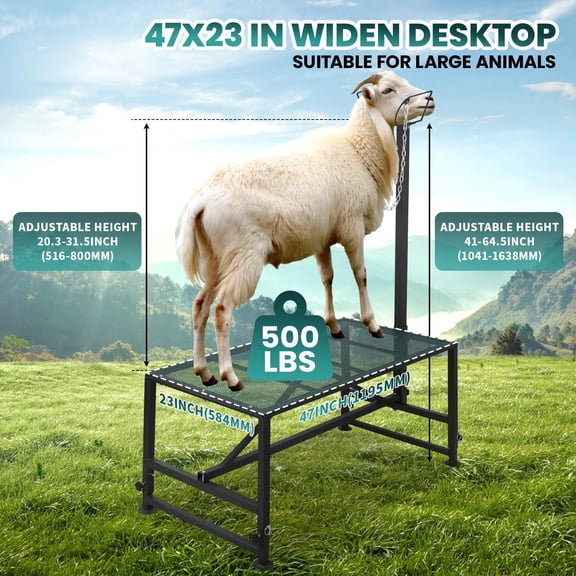 4-Level Adjustable Livestock Stand, Heavy Duty Steel Grooming Table with Mesh Top, 500 lbs for Veterinary Use