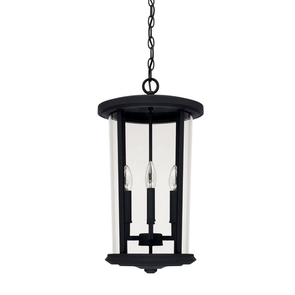 Black Transitional 4-Light Outdoor Pendant with Clear Glass