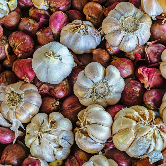 Garlic Bulb