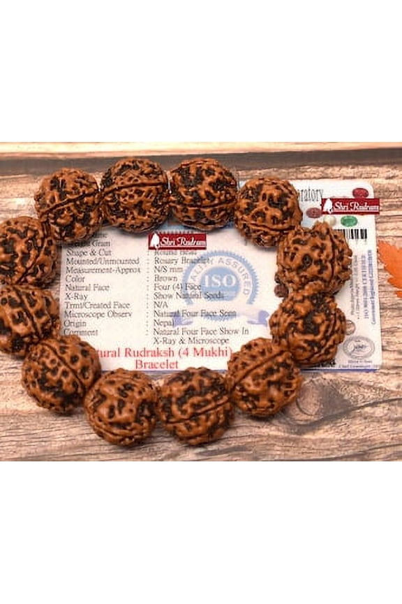 4 Mukhi Rudraksha Bracelet Nepal