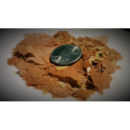 4 Oz. Tropical Fish Food Flakes For Freshwater And Marine Fish by Simply Green
