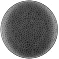 thumbnail image 1 of (4 PACK) EcoQuality 13" inch Round Charger Hammered Translucent Black Plastic Plates - China Like Party Plates, Heavy Duty Large Disposable Dinner Plates, Reusable Salad Plate Weddings, Serveware, 1 of 2