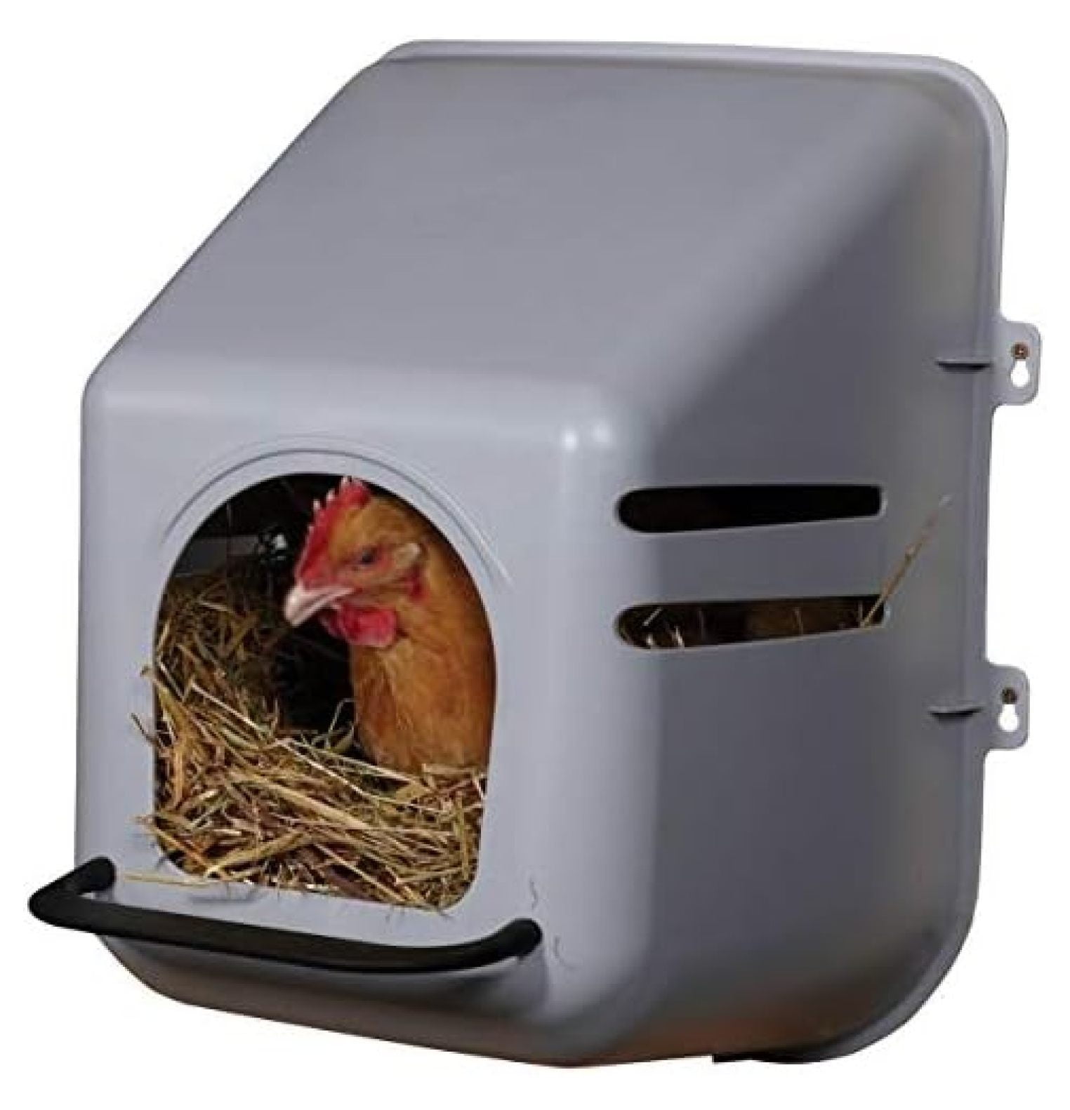 4 PACK of LARGE WALL Mount EGG NESTING NEST BOXES with PERCH for