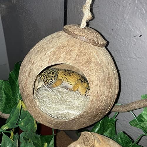 4 PCS Crested Gecko Coconut Hide Natural Lizard Coco Hut Reptile Hanging Nest Flexible Vine Habitat Decoration Bearded Dragon Terrarium Accessories for Tortoise Chameleon Snake Spider