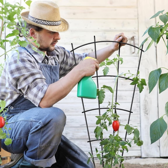 4 Pack 43'' Indoor Plant Trellis for Potted Plants Climbing Outdoor Metal Garden Trellis Houseplants Flowers Vine Ivy,Fan Shape, Black