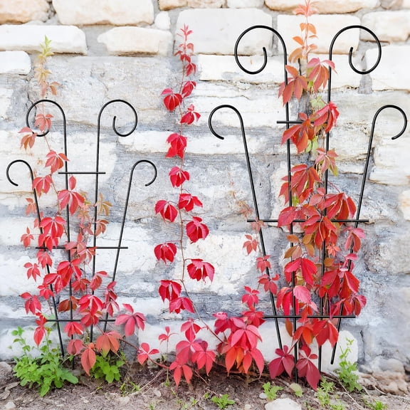 4 Pack 43'' Indoor Plant Trellis for Potted Plants Climbing, Outdoor Metal Garden Trellis Houseplants Flowers Vine Ivy, Wave Shape, Black