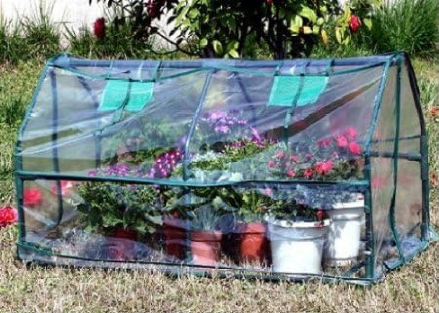 4 Pack 51 quot x24 quot x20 quot Clear Greenhouse Hothouse Nursery for Outdoor 4 Pack 51 quot x24 quot x20 quot Clear Greenhouse Hothouse Nursery for Outdoor