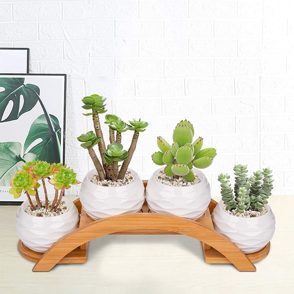 4 Pack Ceramic White Succulent Plant Pot with Bamboo Arched Tray, Mini ...
