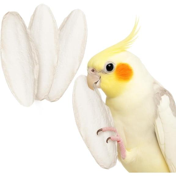 4 Pack Cuttlefish Bones for Cockatiels, Turtles, Shrimp, Calcium for Beak Trimming, Cuddle Bone for Sharp Beaks, Calcium Block Stone for Egg-Laying Birds