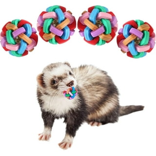 Ferret toys walmart top