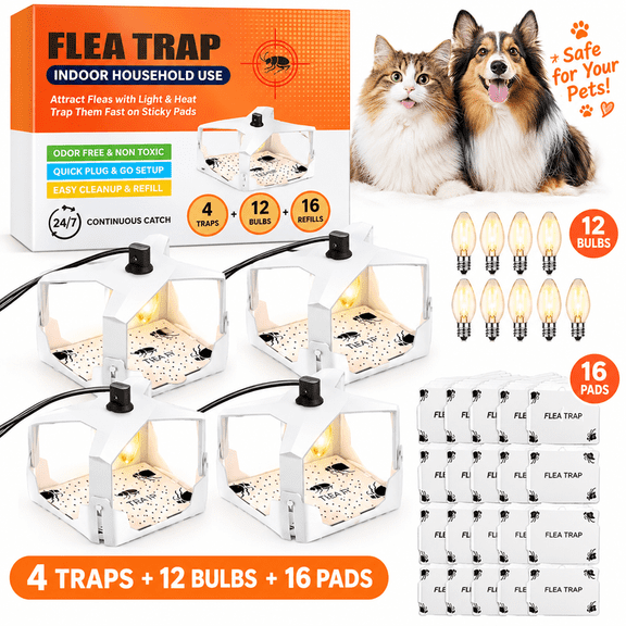 4 Pack Flea Traps/fruit fly traps for Inside Your Home, Indoor Electric Pest Control, Safe for Kids & Pets, Sticky Traps Refill by Zwrking